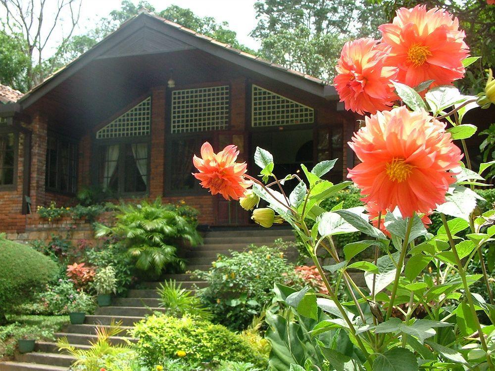 Tree Of Life Nature Resort Kandy Exterior foto